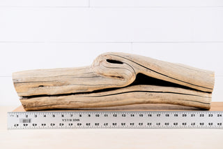 manzanita driftwood