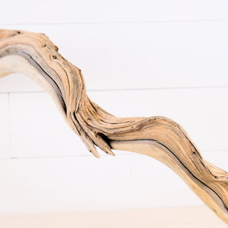 manzanita driftwood