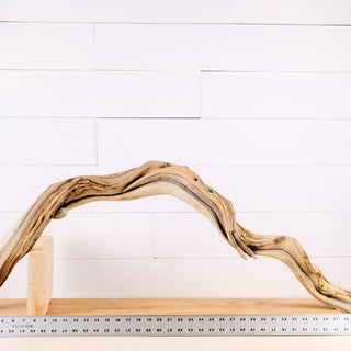 manzanita driftwood