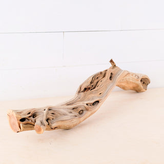 manzanita driftwood