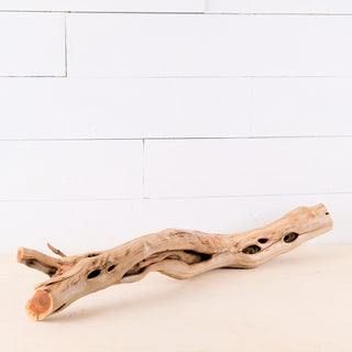 manzanita driftwood