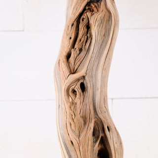 manzanita driftwood