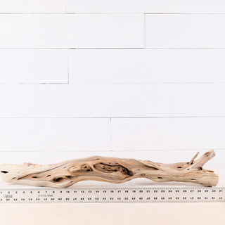 manzanita driftwood