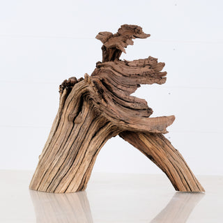 aquarium driftwood