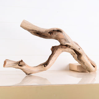 aquarium driftwood