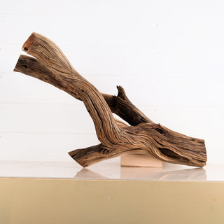 aquarium driftwood