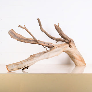 aquarium driftwood