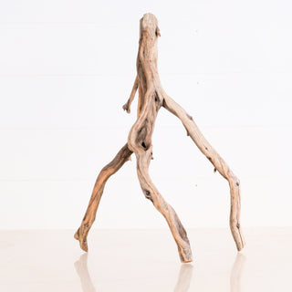 aquarium driftwood