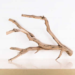 driftwood decor