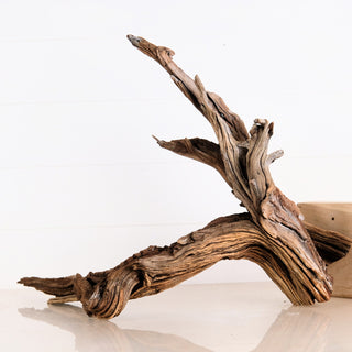 aquarium driftwood