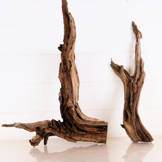 Manzanita Driftwood Set of 2