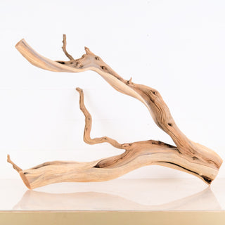 aquarium driftwood