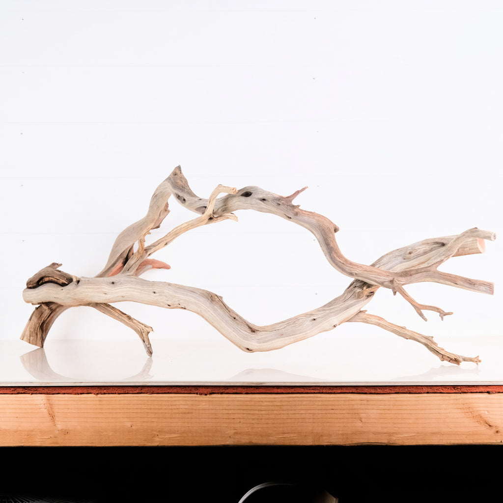 Manzanita Driftwood (set Of 2) – Peacemaker Ranch