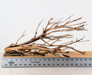 Manzanita Driftwood Set