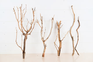 Manzanita Driftwood Set