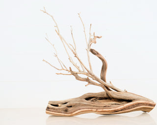 Manzanita Set of 2 (14.5", 18.5")