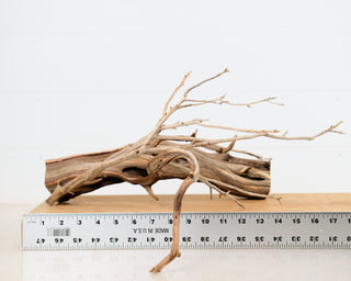 Manzanita Set of 2 (14.5", 18.5")