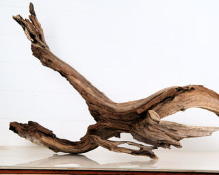 Manzanita Driftwood 45"