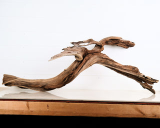 Manzanita Driftwood 45"