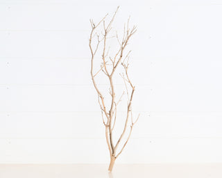 Manzanita Driftwood 28"