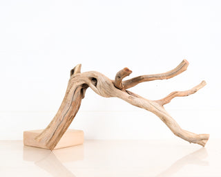 Manzanita Driftwood 23"