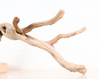 Manzanita Driftwood 23"