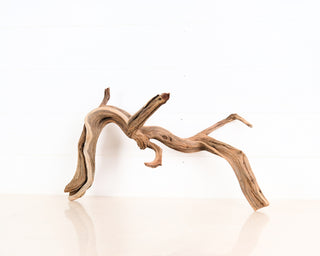 Manzanita Driftwood 21"