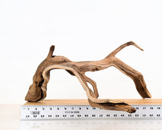 Manzanita Driftwood 21"