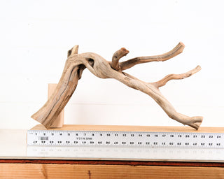 Manzanita Driftwood 23"