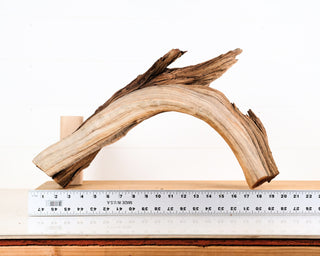 Manzanita Driftwood 20"