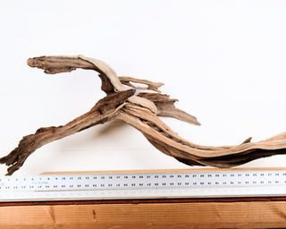 Manzanita Driftwood 45"