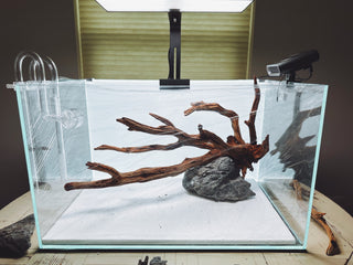 manzanita driftwood aquarium wood